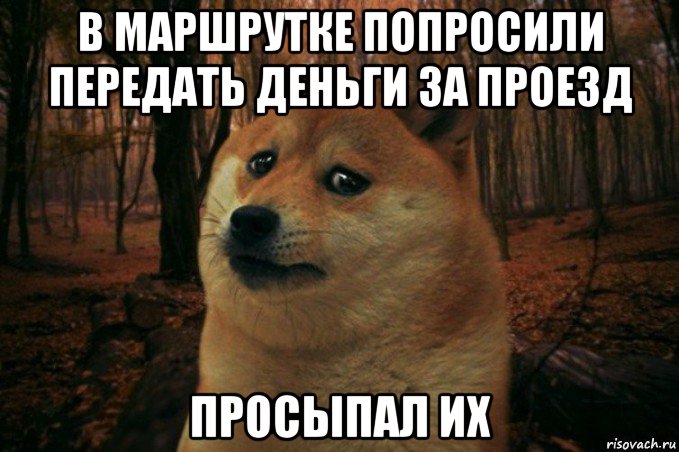 в маршрутке попросили передать деньги за проезд просыпал их, Мем SAD DOGE