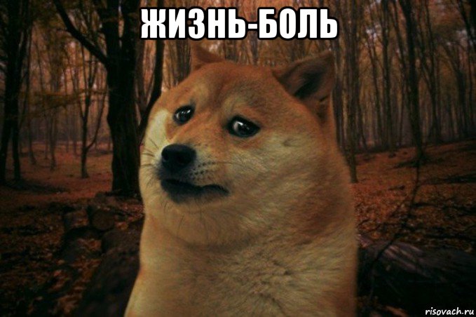 жизнь-боль , Мем SAD DOGE