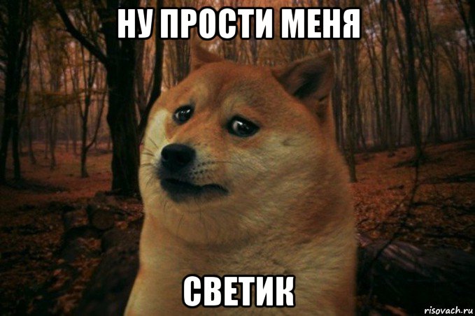 ну прости меня светик, Мем SAD DOGE