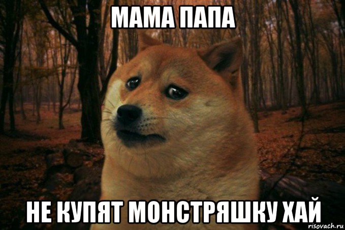 мама папа не купят монстряшку хай, Мем SAD DOGE