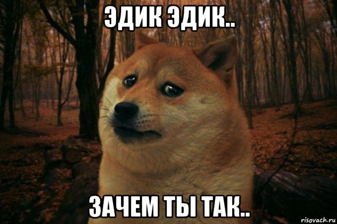 эдик эдик.. зачем ты так.., Мем SAD DOGE