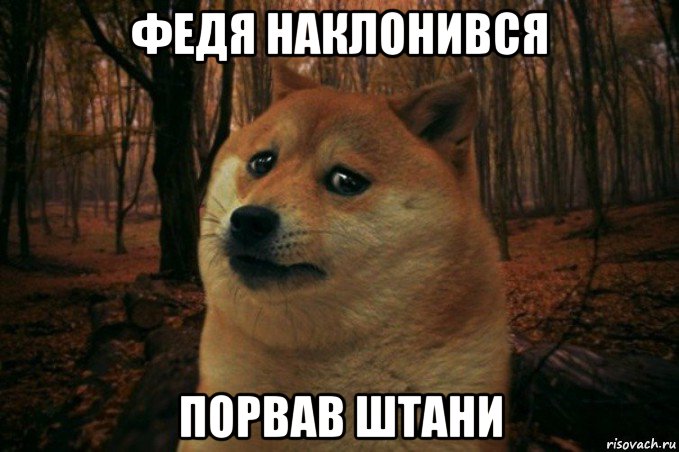 федя наклонився порвав штани, Мем SAD DOGE