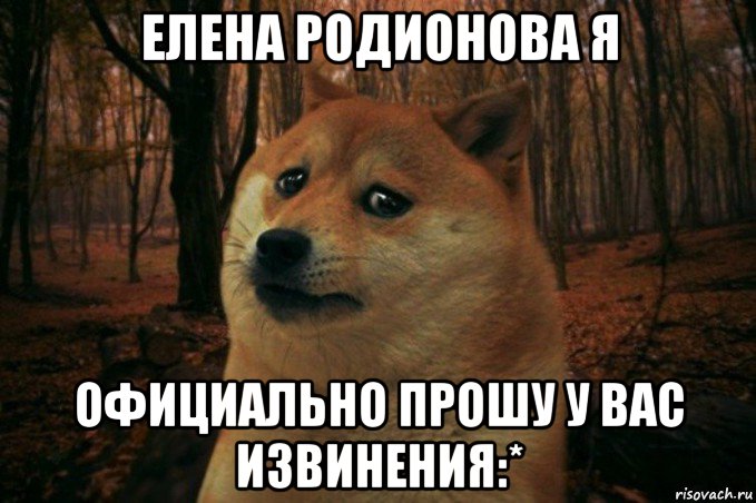 елена родионова я официально прошу у вас извинения:*, Мем SAD DOGE