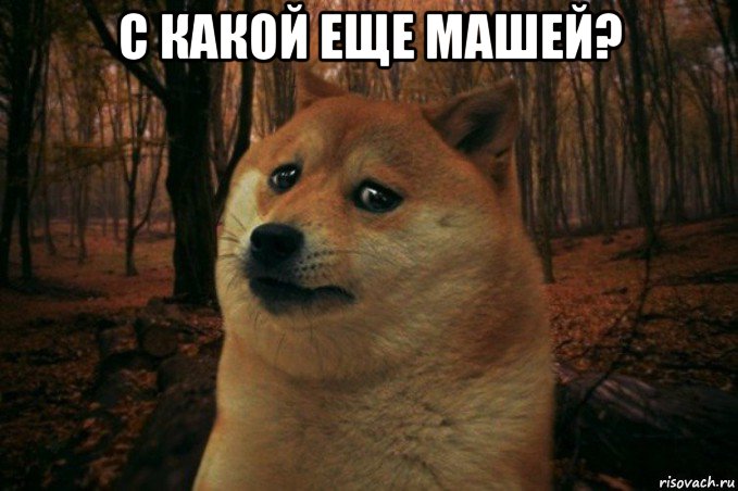 с какой еще машей? , Мем SAD DOGE