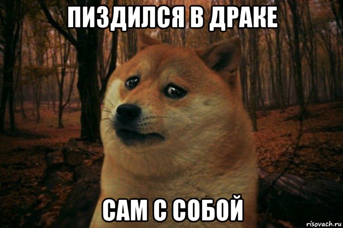 пиздился в драке сам с собой, Мем SAD DOGE