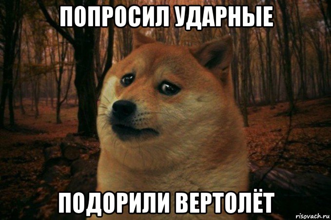 попросил ударные подорили вертолёт, Мем SAD DOGE