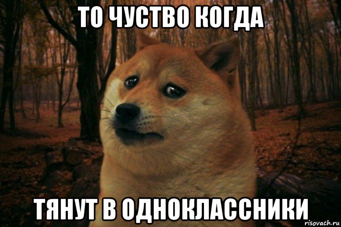 то чуство когда тянут в одноклассники, Мем SAD DOGE