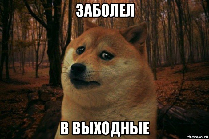 заболел в выходные, Мем SAD DOGE