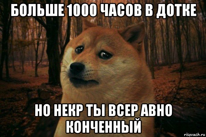 больше 1000 часов в дотке но некр ты всер авно конченный, Мем SAD DOGE