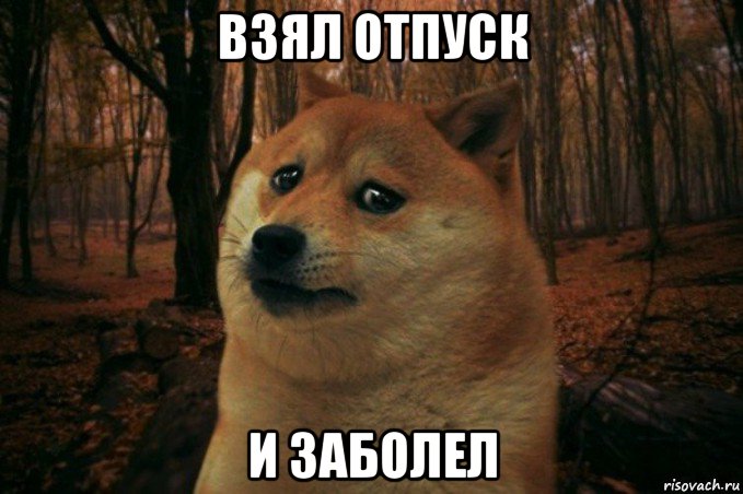 взял отпуск и заболел, Мем SAD DOGE