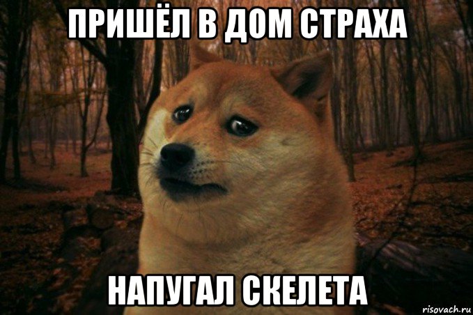 пришёл в дом страха напугал скелета, Мем SAD DOGE