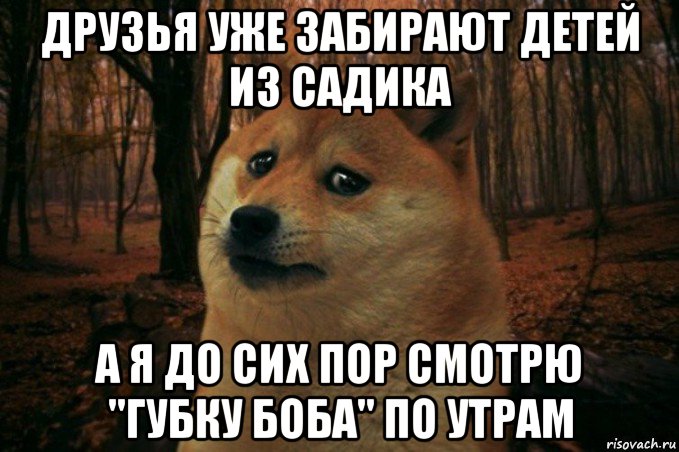 друзья уже забирают детей из садика а я до сих пор смотрю "губку боба" по утрам, Мем SAD DOGE