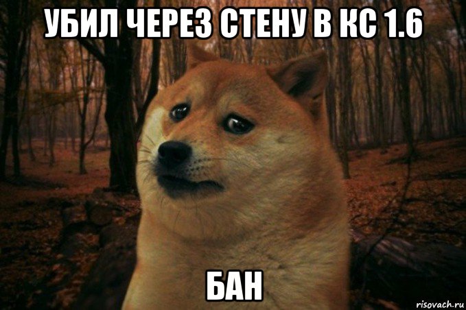 убил через стену в кс 1.6 бан, Мем SAD DOGE