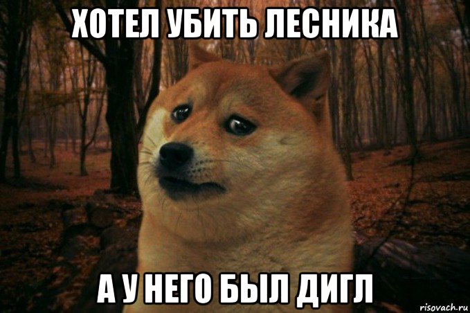 хотел убить лесника а у него был дигл, Мем SAD DOGE