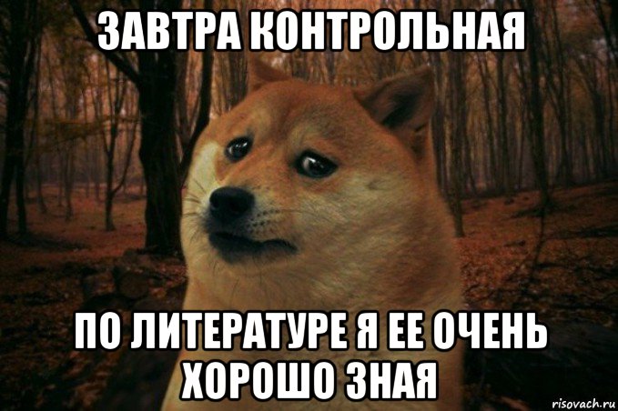 завтра контрольная по литературе я ее очень хорошо зная, Мем SAD DOGE