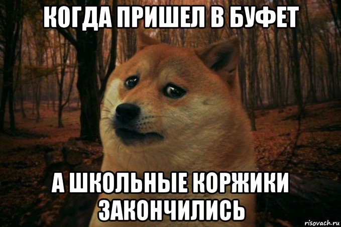 когда пришел в буфет а школьные коржики закончились, Мем SAD DOGE