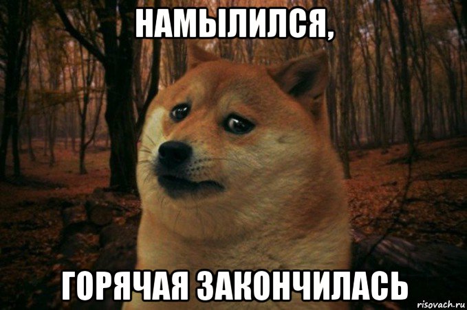 намылился, горячая закончилась, Мем SAD DOGE