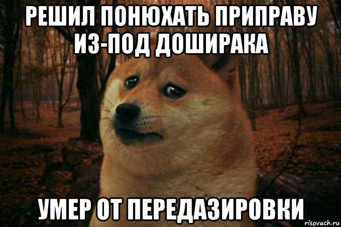 решил понюхать приправу из-под доширака умер от передазировки, Мем SAD DOGE