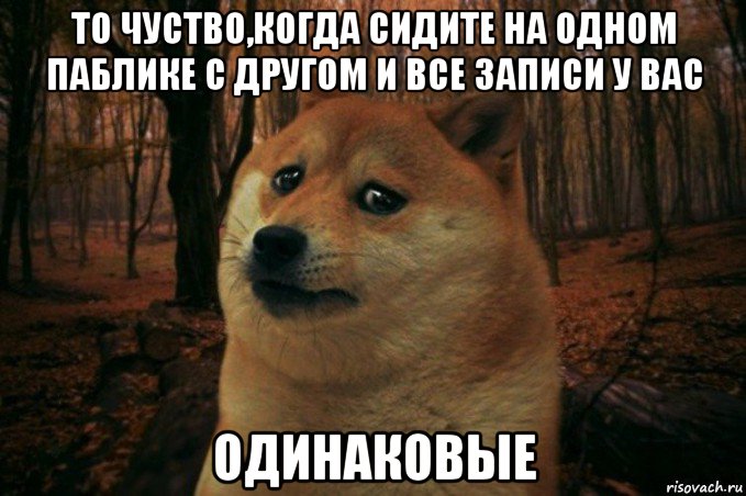 то чуство,когда сидите на одном паблике с другом и все записи у вас одинаковые, Мем SAD DOGE