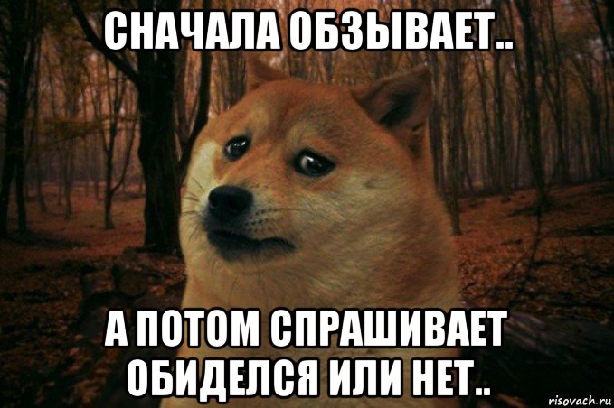 сначала обзывает.. а потом спрашивает обиделся или нет.., Мем SAD DOGE