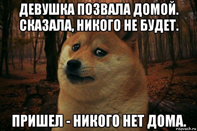 девушка позвала домой. сказала, никого не будет. пришел - никого нет дома., Мем SAD DOGE