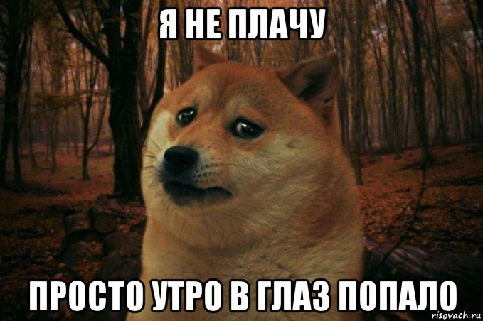 я не плачу просто утро в глаз попало, Мем SAD DOGE