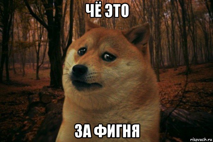 чё это за фигня, Мем SAD DOGE