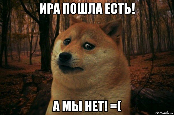 ира пошла есть! а мы нет! =(, Мем SAD DOGE