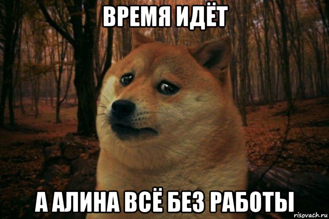 время идёт а алина всё без работы, Мем SAD DOGE