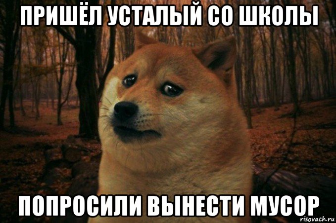 пришёл усталый со школы попросили вынести мусор, Мем SAD DOGE