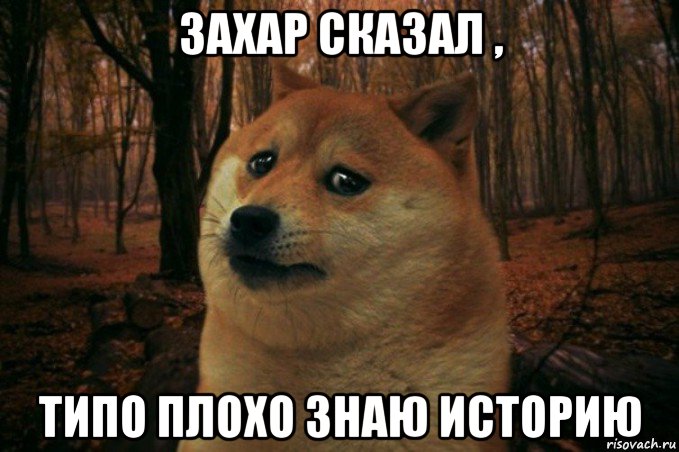 захар сказал , типо плохо знаю историю, Мем SAD DOGE