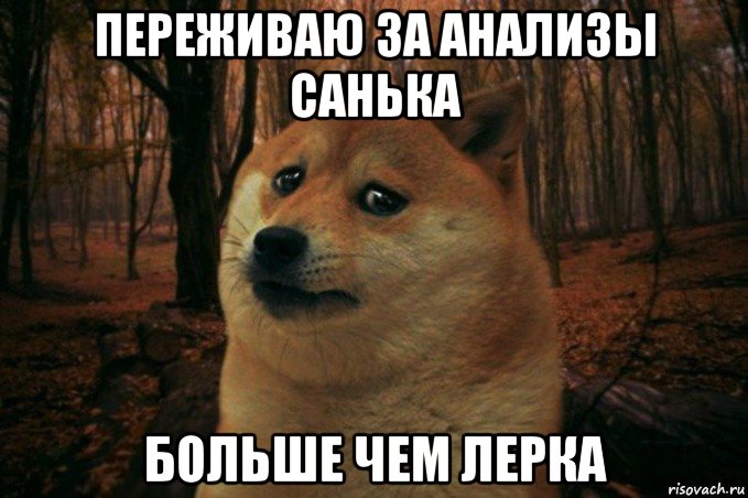 переживаю за анализы санька больше чем лерка, Мем SAD DOGE