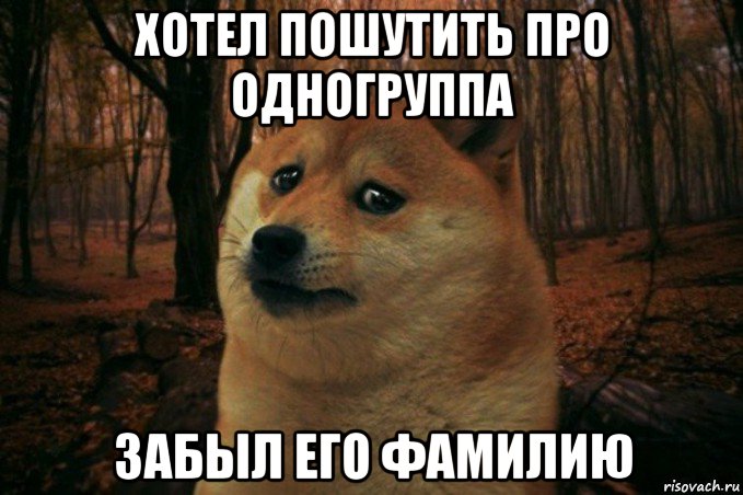 хотел пошутить про одногруппа забыл его фамилию, Мем SAD DOGE