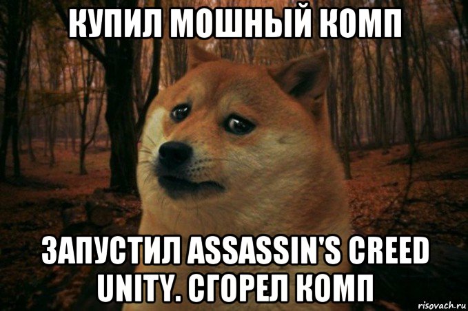 купил мошный комп запустил assassin's creed unity. сгорел комп, Мем SAD DOGE