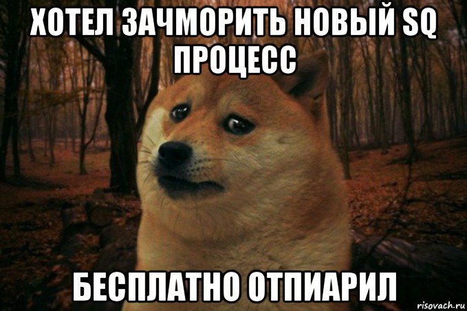 хотел зачморить новый sq процесс бесплатно отпиарил, Мем SAD DOGE