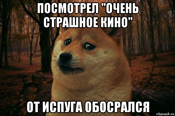 посмотрел "очень страшное кино" от испуга обосрался, Мем SAD DOGE