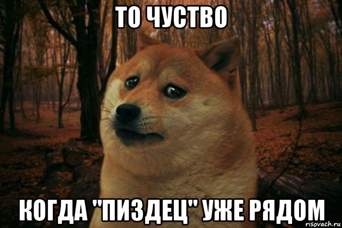 то чуство когда "пиздец" уже рядом, Мем SAD DOGE