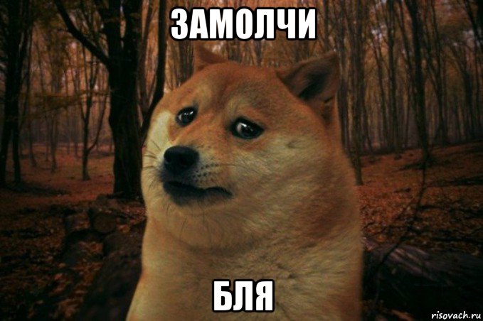 замолчи бля, Мем SAD DOGE