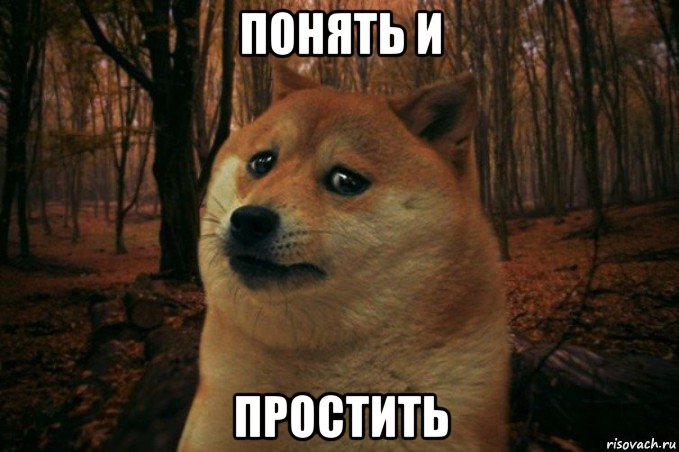 понять и простить, Мем SAD DOGE