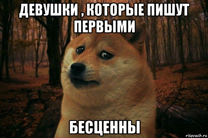 девушки , которые пишут первыми бесценны, Мем SAD DOGE