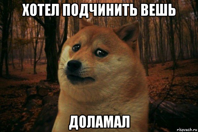 хотел подчинить вешь доламал, Мем SAD DOGE