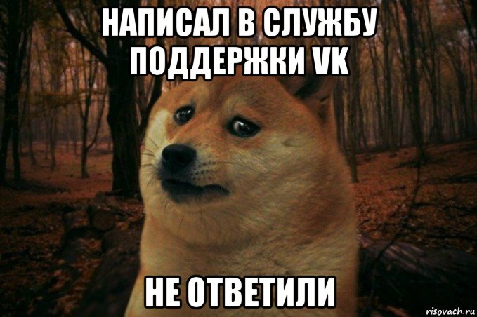 написал в службу поддержки vk не ответили, Мем SAD DOGE