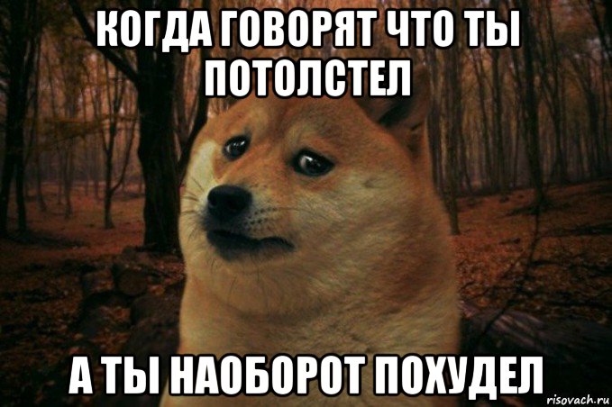 когда говорят что ты потолстел а ты наоборот похудел, Мем SAD DOGE