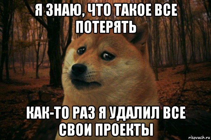 я знаю, что такое все потерять как-то раз я удалил все свои проекты, Мем SAD DOGE