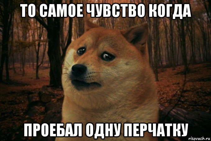 то самое чувство когда проебал одну перчатку, Мем SAD DOGE