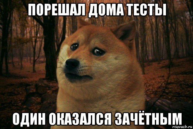 порешал дома тесты один оказался зачётным, Мем SAD DOGE