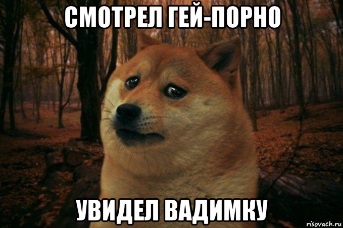 смотрел гей-порно увидел вадимку, Мем SAD DOGE