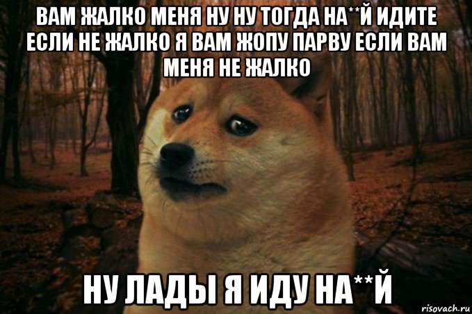 вам жалко меня ну ну тогда на**й идите если не жалко я вам жопу парву если вам меня не жалко ну лады я иду на**й, Мем SAD DOGE