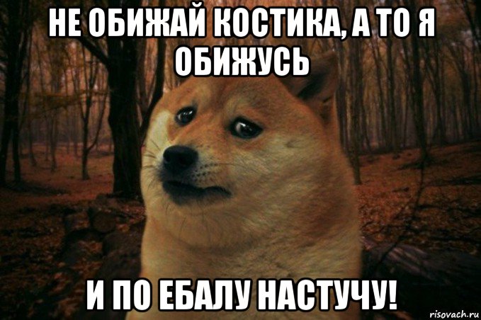 не обижай костика, а то я обижусь и по ебалу настучу!, Мем SAD DOGE