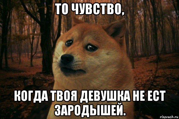 то чувство, когда твоя девушка не ест зародышей., Мем SAD DOGE